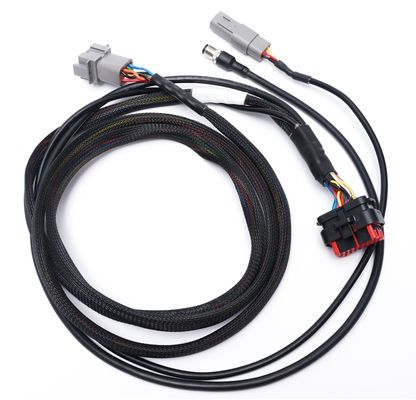 Arnesi di cablaggio per automobili personalizzati 24 pin per connessioni di fili 24 - 32AWG