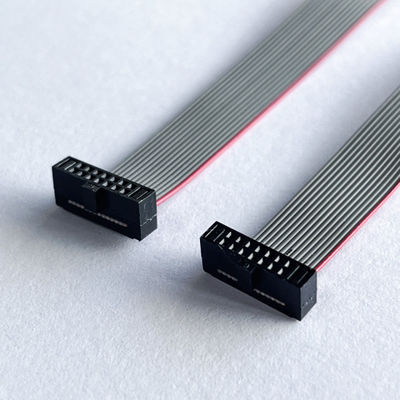 1.27mm Flat IDC Cable 10 Pin - 100 Pin Ribbon Cable Assembly Lunghezza personalizzata