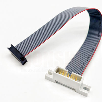 Cable elettronico piatto 2.54mm Pitch IDC Flat Ribbon Cable Connector Colore personalizzato