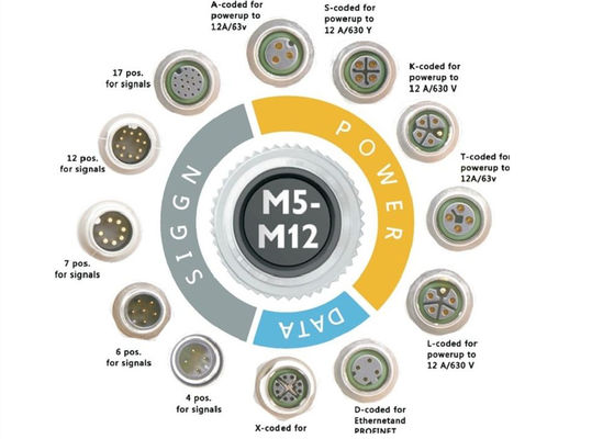 Connessione per fili circolari della serie M12 presa a 12 perni Montaggio del pannello di vite posteriore